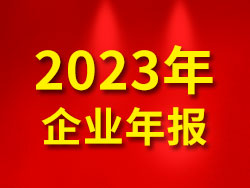 2023年企业年报